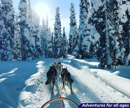 Adventures in Ylläs